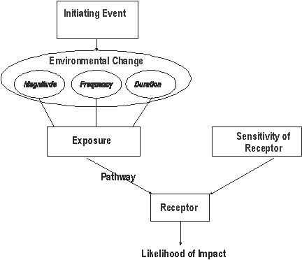 Impact assessment process