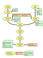 Overview image of the the Scoping Guidance Tool